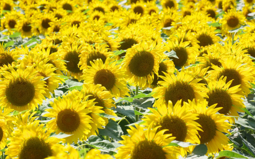664873 (a): :1920x1200
